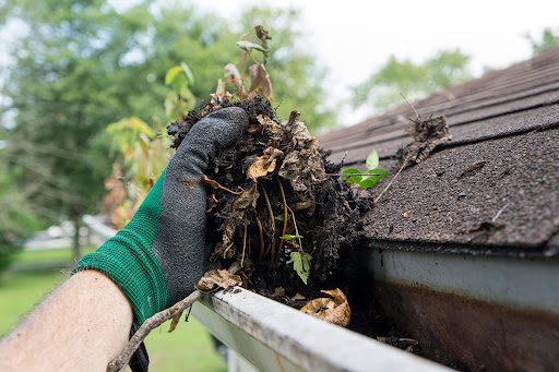 A gloved hand cleans muck and leaves out of a gutter on a rooftop.